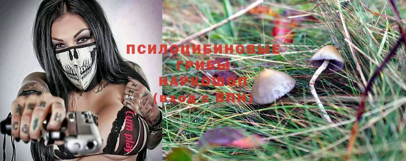 Псилоцибиновые грибы MAGIC MUSHROOMS Зарайск